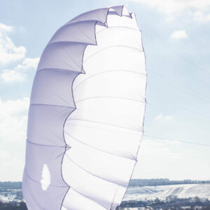 <b>SEA WINGS | F-UP | 42</b> – Bild 4