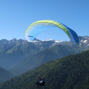 <b>NERVURES | WHIZZ 2</b>