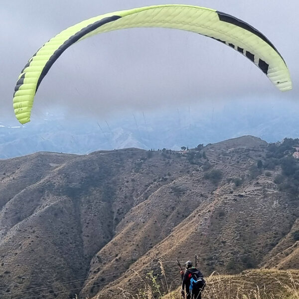 <b>PROFLY | LEELOO X | SM</b>