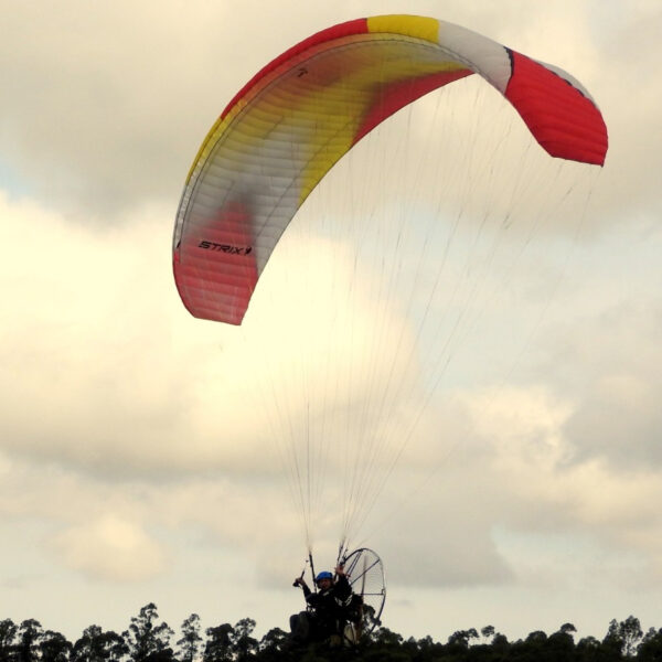 <b>EVOWINGS | STRIX | 22</b> – Bild 2