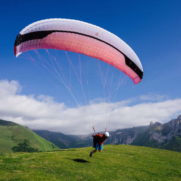 <b>GIN GLIDERS | ELISE | XXS</b> – Bild 2
