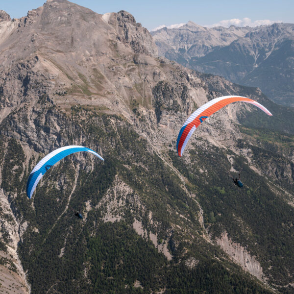 <b>SKYWALK PARAGLIDERS | SAGE | 115</b> – Bild 5