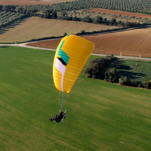 <b>NIVIUK | WILKO | 31</b>