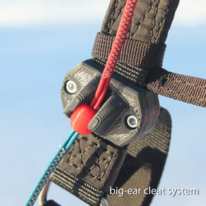 bigearSystem2 1024x1024 1