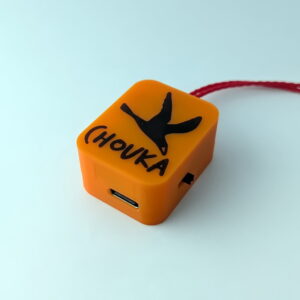 <b>INOVALTI | CHOUKA</b> 5 vario chouka parapente orange 03