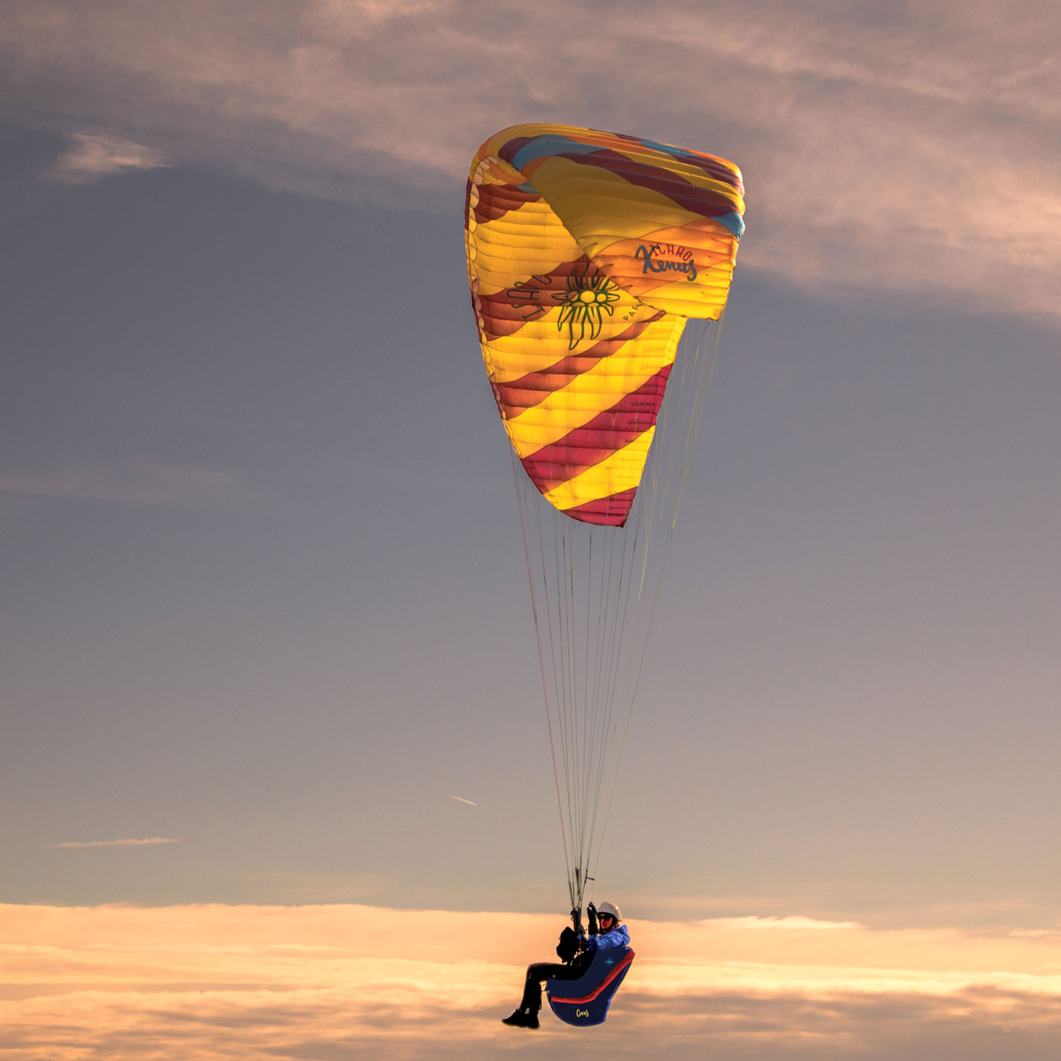 <b>ICARO | XENUS | 20</b> 5 <b>ICARO | XENUS | 20</b> – Bild 5