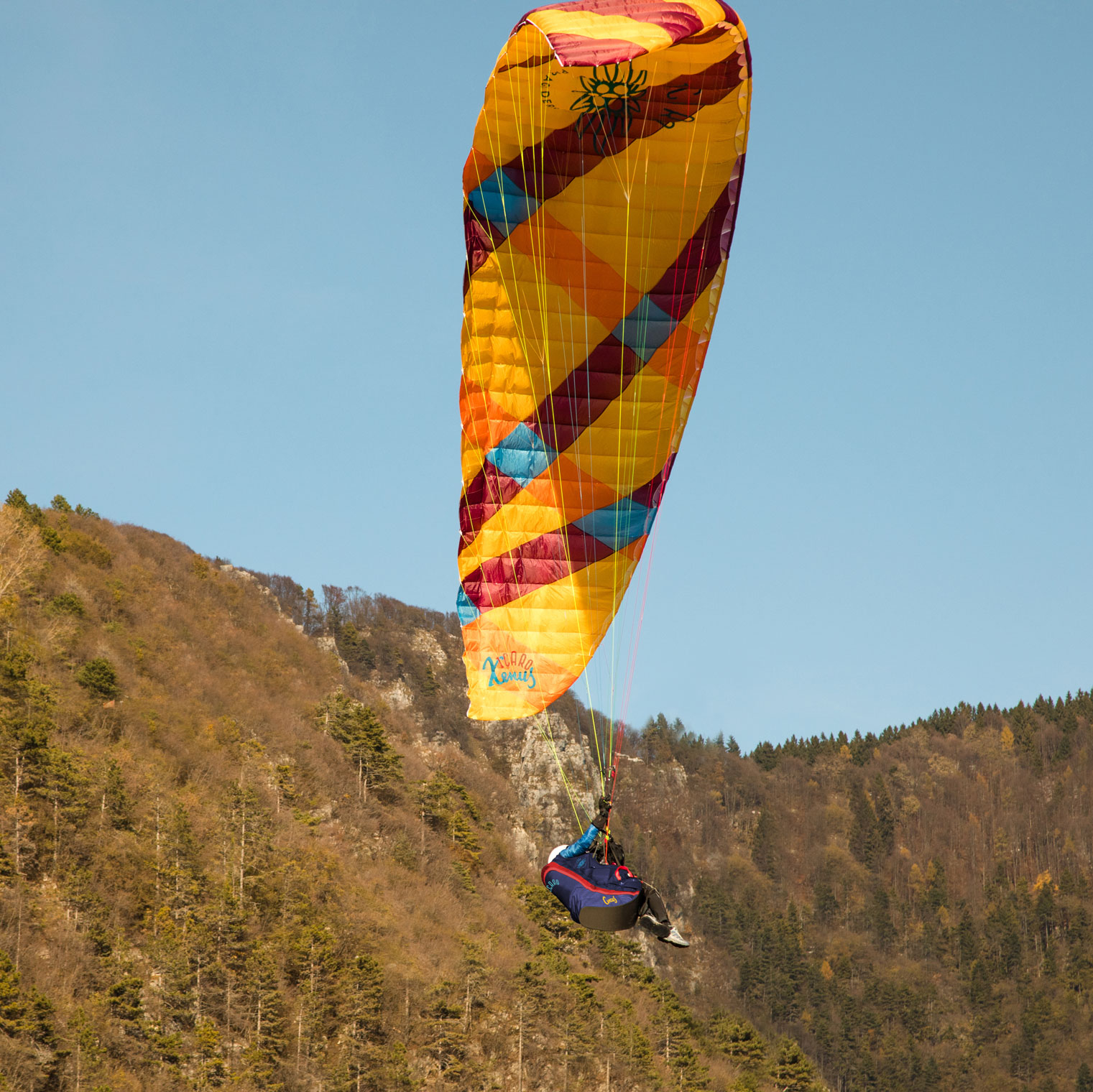 <b>ICARO | XENUS | 20</b> 6 <b>ICARO | XENUS | 20</b> – Bild 6