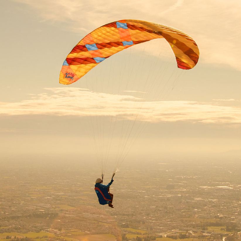 <b>ICARO | XENUS | 20</b> 7 <b>ICARO | XENUS | 20</b> – Bild 7