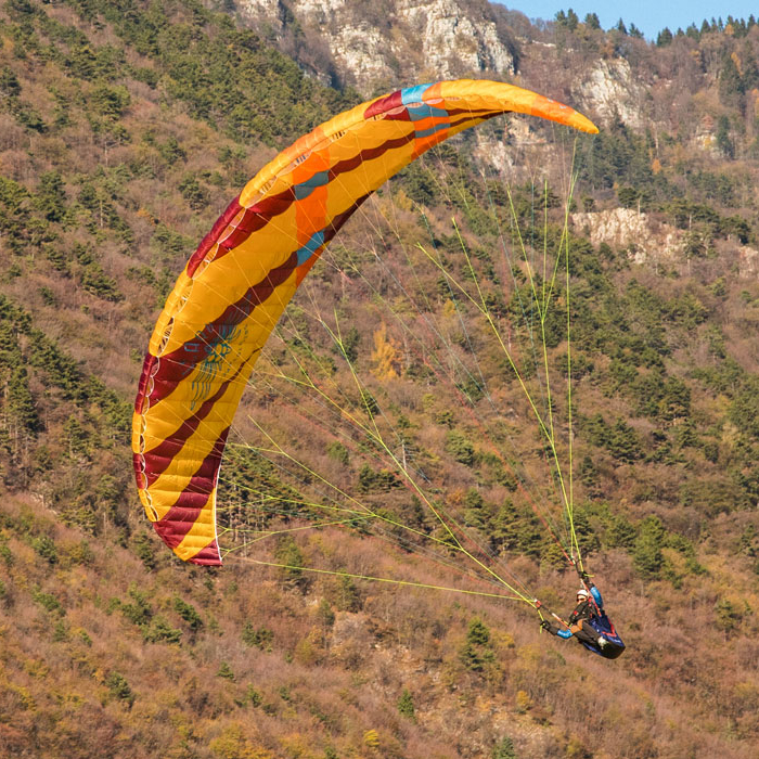 <b>ICARO | XENUS | 20</b> 1 <b>ICARO | XENUS | 20</b>