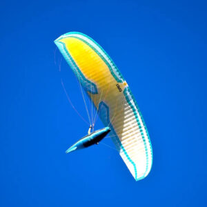 Level Wings Falcon Sunkiss 3
