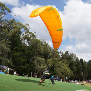 Alternative view of <b>FLOW PARAGLIDERS | F 2 LIGHT | L</b>